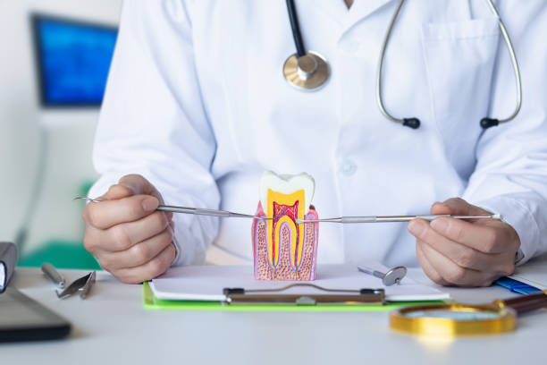 Best Emergency Treatment for Toothache in Normandy, MO